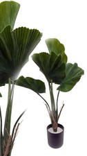 künstliche Fächerpalme 70 cm Kunstpalme Kunstbaum Deko McPalms