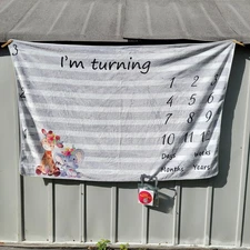 Baby Milestone Blanket 3' 1" X 4' 11" w/ Stickers & Frames - NWOT