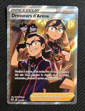 Carte Pokémon Dresseurs d'Arène 191/195 Full Art - EB12 Tempête Argentée FR