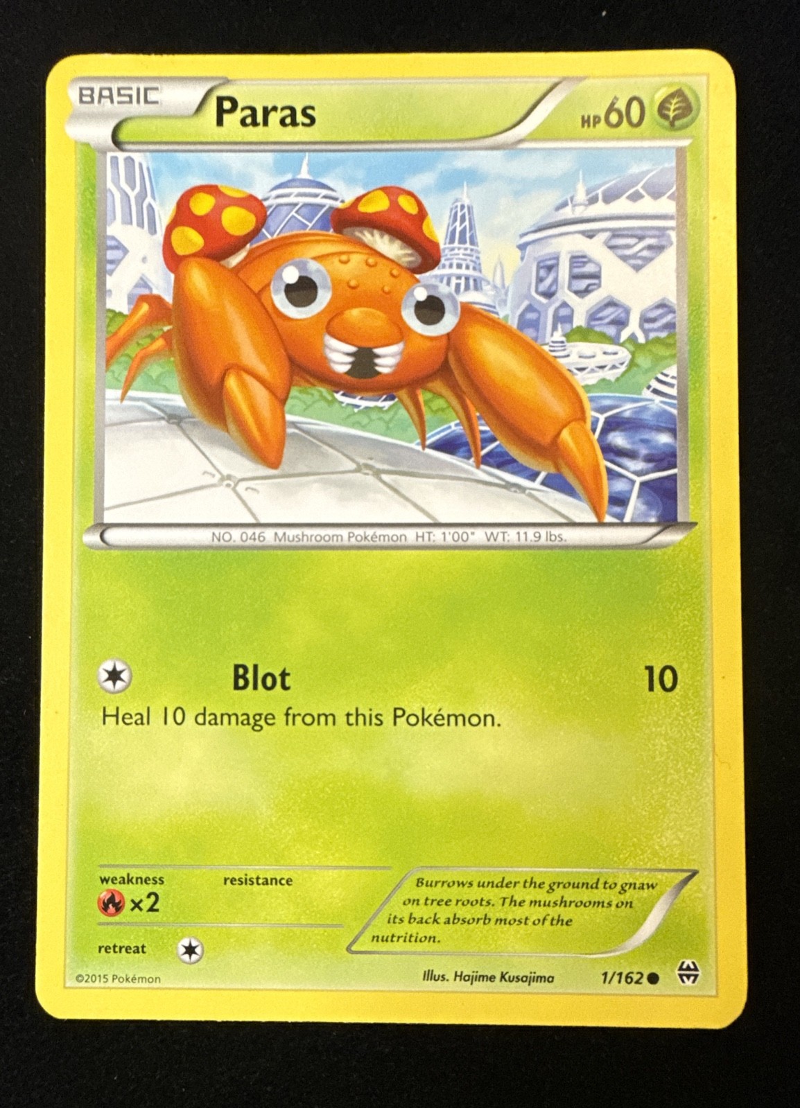 Paras - BREAKthrough - 1/162 - Pokemon TCG - LP