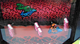 PIXEL FRAMES BATTLETOADS NES TURBO TUNNEL 9X9 SHADOW BOX ART OFFICIALLY LICENSED