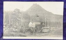 RPPC – St Patrick’s Head C1906 North East Tasmania CONARA PM 1906