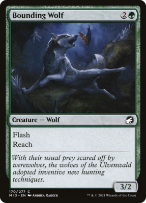 #ad x4 Bounding Wolf MID MTG 170 277 COMMON M NM 4x $1.49