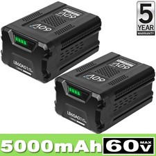 2 PACK 5.0Ah Lithium-Ion Battery For Greenworks 60V MAX LB60A00 LB60A02 LB60A03