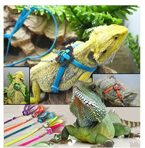 gecko leashes