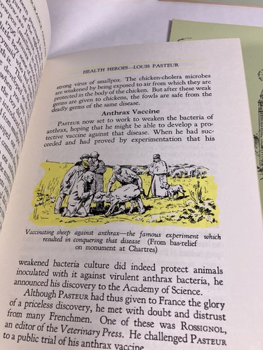 6 Health Heroes Booklets,Louis Pasteur,Marie Curie,good Information  - Picture 7 of 14