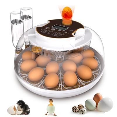 Incubators for Hatching Eggs,18 Egg Incubator with Automatic Egg Turning and ...