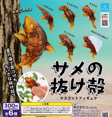 Shark shell mascot figure [all 6 types set (full complete)] GachaGacha capsule t