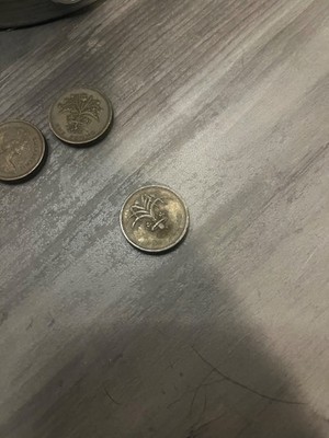 1992 Queen Elizabeth II, D G REG F D, One Pound Coins,  High Detail 