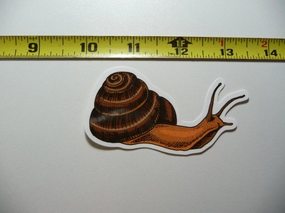 SNAIL SLUG SMALL STICKER DECAL FUN FUNNY