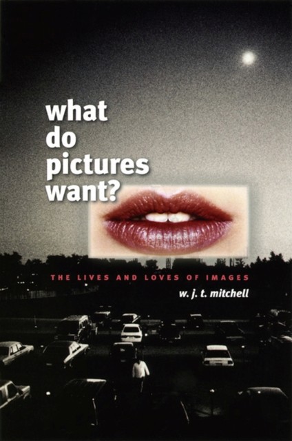 What Do Pictures Want? – The Lives and Loves of Images by W. J. T. Mitchell - Image 4