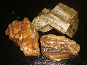 3 OLD WASHINGTON PETRIFIED WOOD ROUGH SPECIMENS   4  1/2   POUNDS