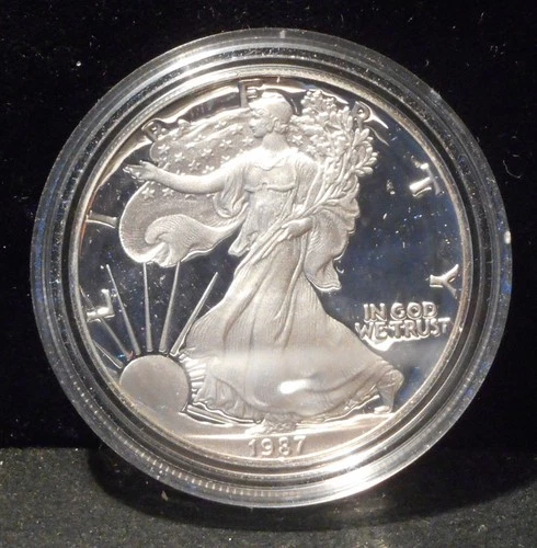 1987 American Eagle Coin -  Choice Uncirculated