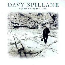 A Place Among the... von Davy Spillane | CD | Zustand gut