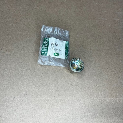 Land Rover Range Rover P38 Locking Wheel Nut Cover - OEM RRJ100120 - View #3