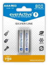 Pack de 2 batteries Téléphone fixe pour SIEMENS GIGASET C430A