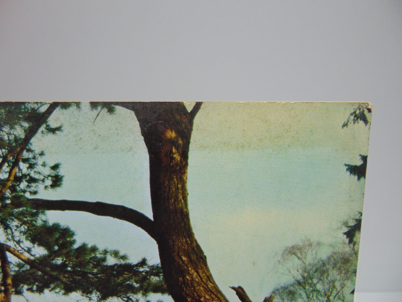 General Motors World September 1966 Volume 45 Number 5