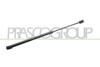 Prasco Gasfeder DäMpfer Heckklappe 420N Links Rechts FüR Lancia Ypsilon 843