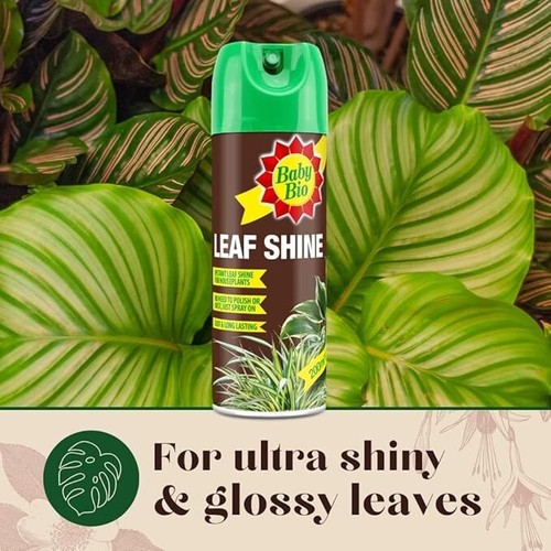 Baby Bio 84899143 Leaf Shine, 200ml Ready To Use Aerosol Spray for Plant Leaves - Picture 5 of 7