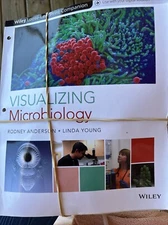 Visualizing Microbilogy  Anderson - Young
