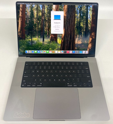 Apple MacBook Pro A2485 16,2'' M1 MAX 32GB RAM 1TB SSD Grade C US 239 Zyklen