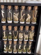 Bone Taxidermy Cabinet , Lit - Fox, Stoat, Bird, Squirrel , Rat, Mouse, Weasel