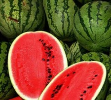 ALL SWEET WATERMELON SEEDS 25 garden FRUIT AVG WT 25-35 LBS FREE SHIPPING