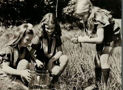 *Frog Postcard-''3 Little Girls Collecting Frogs''  {Uno5}