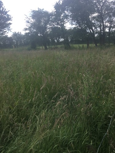 *PROJECT* - Property for sale in Ireland with 1 acre of land - Picture 10 of 18