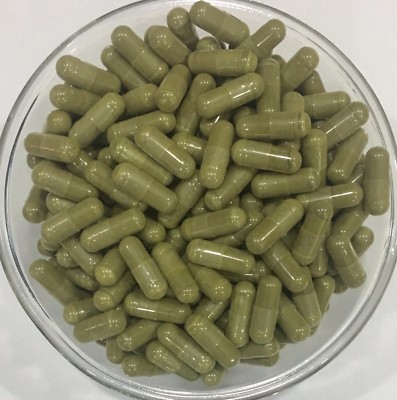 Rosemary Leaf Extract Capsules 20:1 Pure & High Quality 
