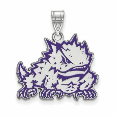 Silber Texas christlicher gehörnter Frosch großer emaillierter Anhänger