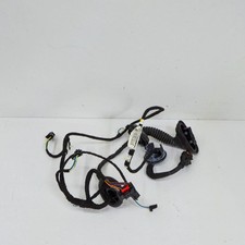 AUDI Q7 4L T&uuml;rverkabelung hinten links 4L0971687AH 3.0 Benzin 206kw 17931300