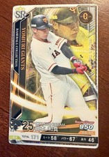 Law of Cards: A Defining Moment in Wildcat's Electronic Trading Card Lawsuit 12