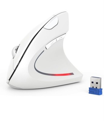 TECKNET Ergonomische Maus 2.4G Kabellose Maus Wiederaufladbar 4800 DPI Vertikale Maus
