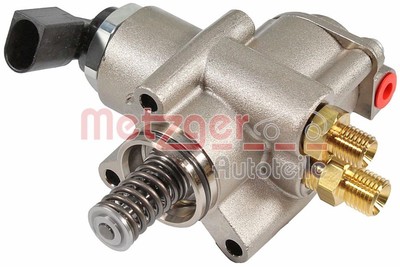 METZGER AUTOTEILE Hochdruckpumpe 2250503 IAM für AUDI A6 C6 4F2 A8 D3 4E2 4E8 A4