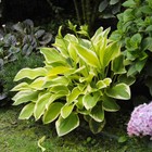 Foto 4 di 15