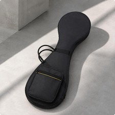 Pipa Instrumentenkoffer, tragbarer und sicherer Pipa Koffer mit Außentasche,