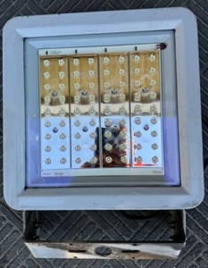 Dialight FLD255SC5NG Safesite LED Floodlight, 10000 Lumen, 107W 347-480V, 5000K