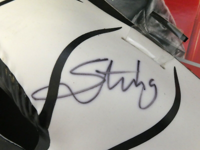 Sting Pro Wrestling Legend WWE WWF Signed Mask with PSA/DNA