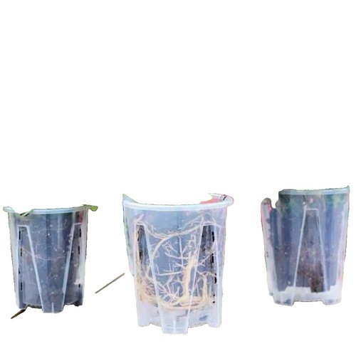 Supreme Dulton Handmade Mini Planter Set of 3 SS25 Plants Garden