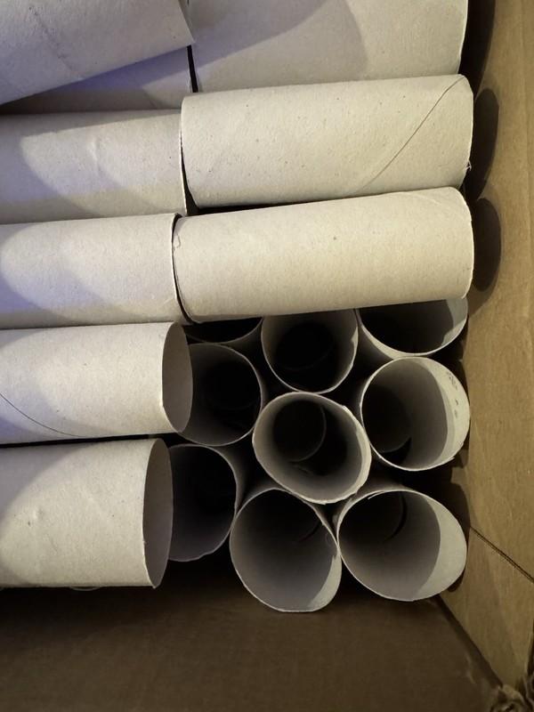 82 Empty Toliet Paper Rolls