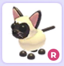 Ride Siamese Cat    Cheap    Adopt Me Pet Virtual