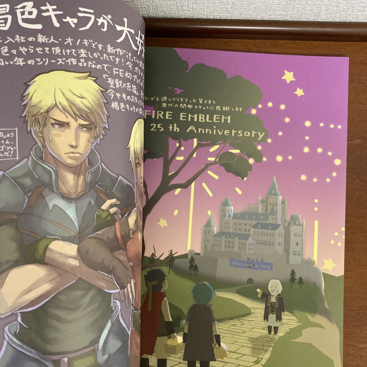 アート・デザイン・音楽 FIRE EMBLEM OFFICIAL STAFF BOOK Fire Emblem Official Staff Book 25th Anniversary Art Book