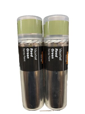 VAUXHALL SCHILFGRÜN SPRÜHLACK 300 ML HALFORDS DOSEN X2