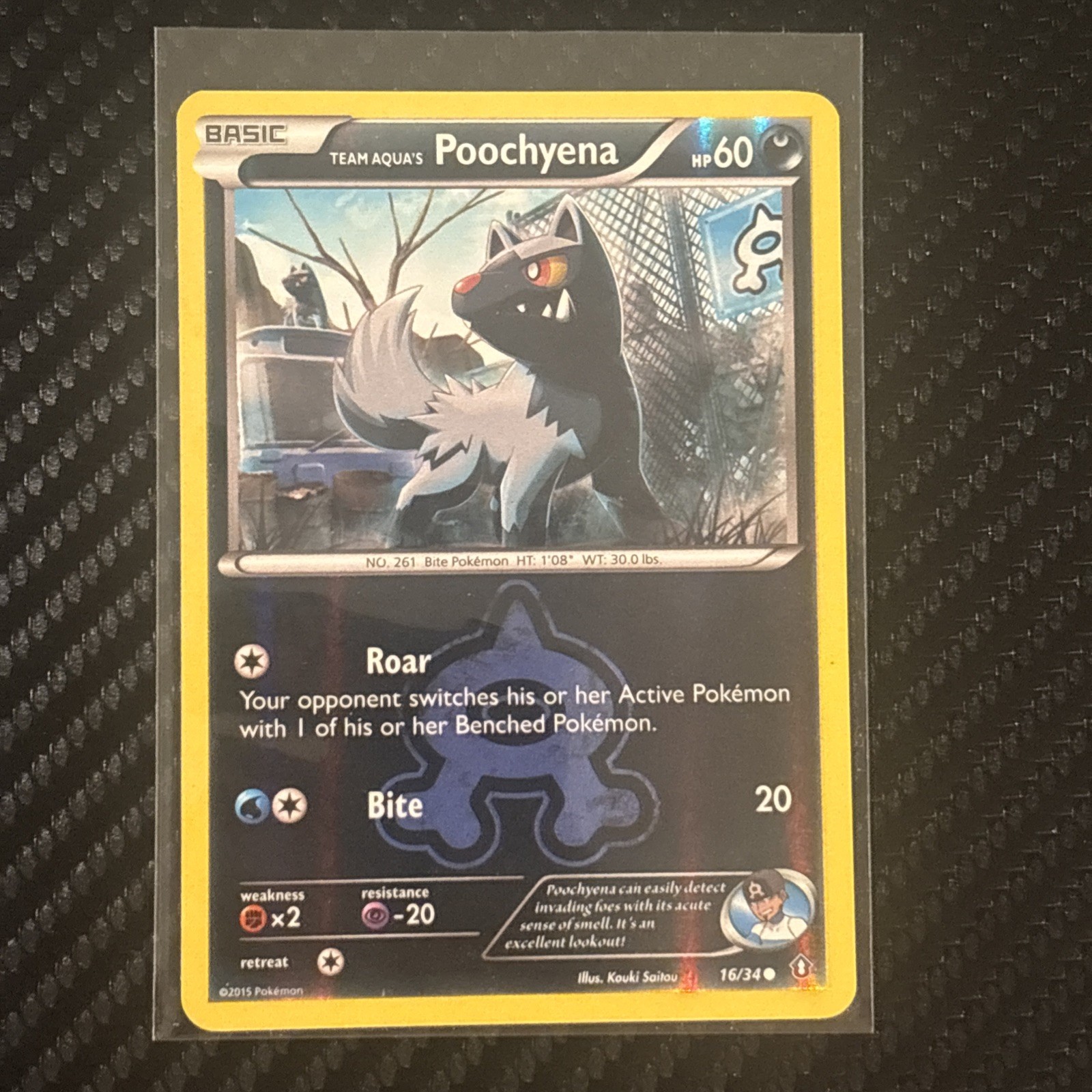 Team Aqua's Poochyena 16/34 Common Double Crisis Pokemon Reverse Holo Near Mint