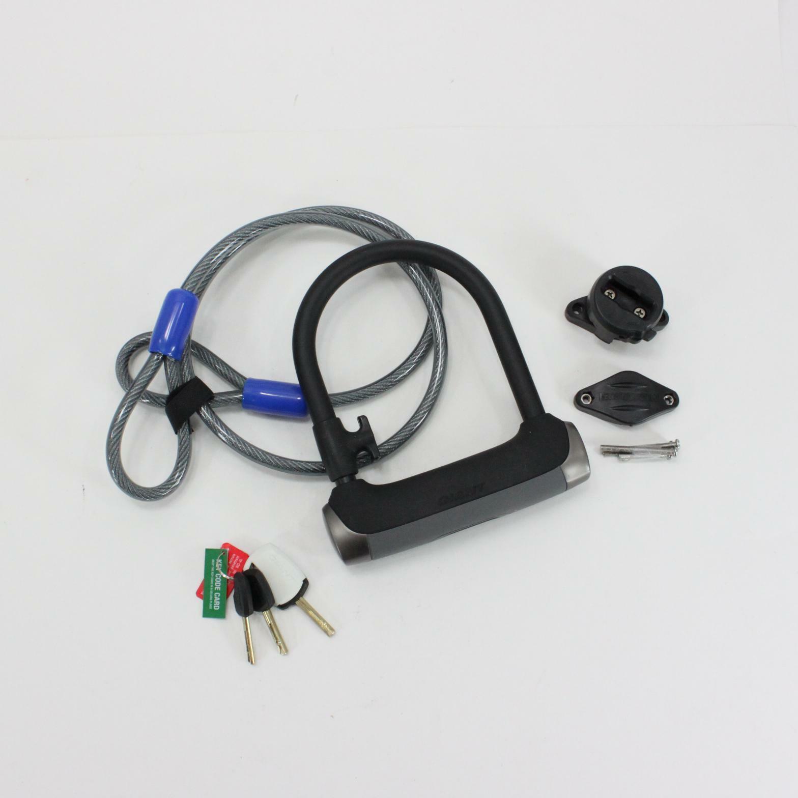 giant surelock protector 1 dt