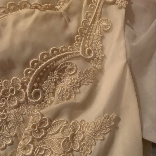Vintage Ivory Wedding Gown Floral Embriodery Tulle Lace Queen Ann Long Sleeve 12 - Picture 9 of 11