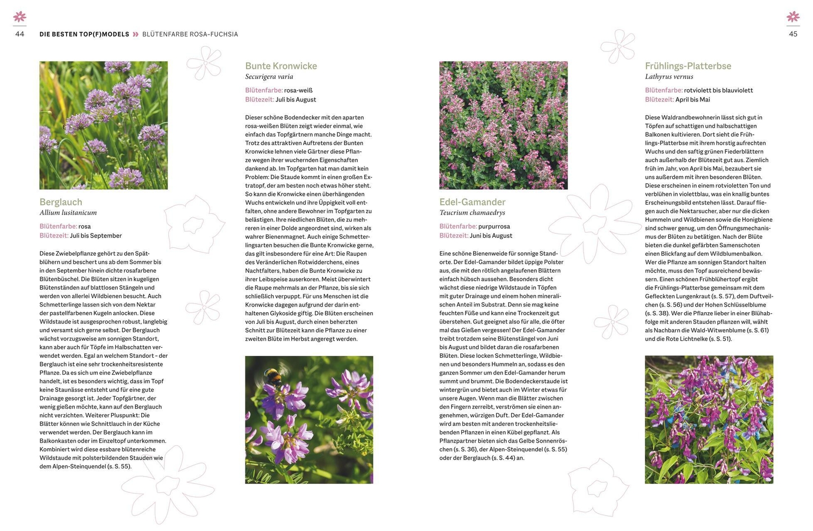 Thumbnail - Wildblumen Für Balkon Und Terrasse Nina Keller