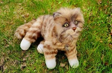 Plush cat, ooak, collectible, handmade, art toy, artist made, realistic cat toy