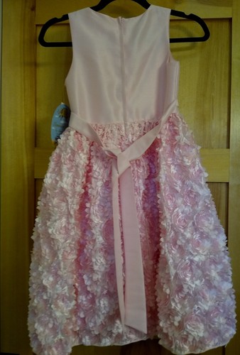 American Princess Pink Flower Holiday Dress size 10 NWT MSRP $60 - Picture 5 of 6